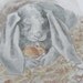 Vintage Children's Book Illustrations, Bunny Rabbit with Mouse Illustration Pages, Cute Pictures by Barbara Firth, Mot the Mouse
