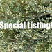 Special Listing for Ellen