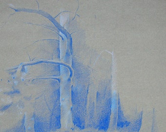 Tree trunks - an original pencil drawing