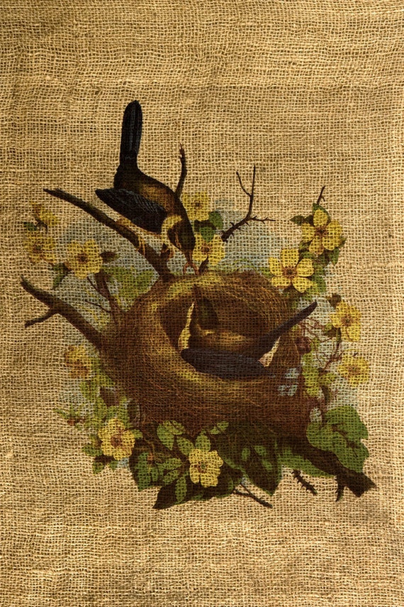 INSTANT DOWNLOAD Birds and Nest Colorful Image Download