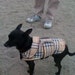 Dog Jacket - Plaid Dog Coat- XX Small- 8 to 10 Inch Back Length