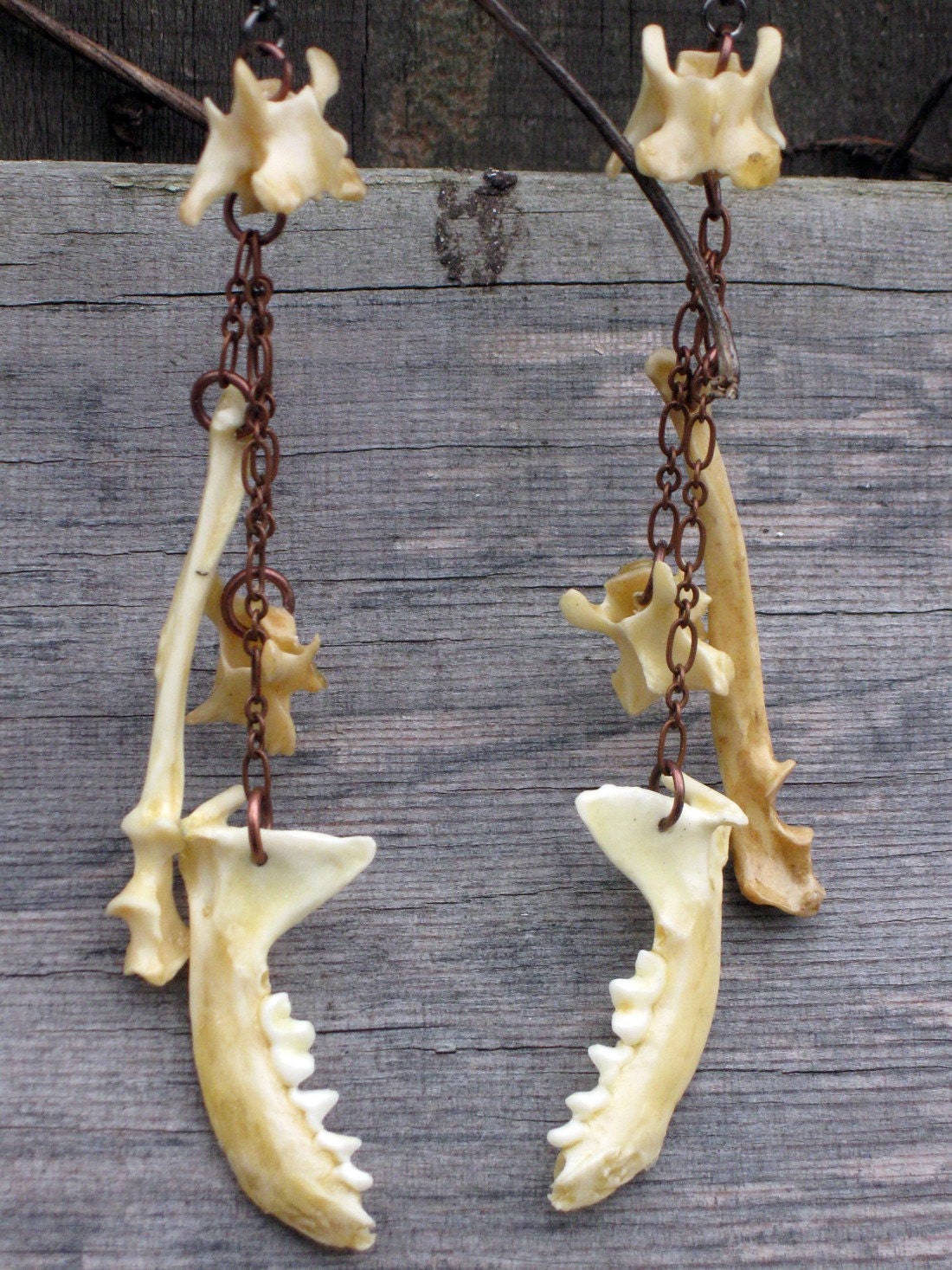 Animal Bone Dangle Earrings