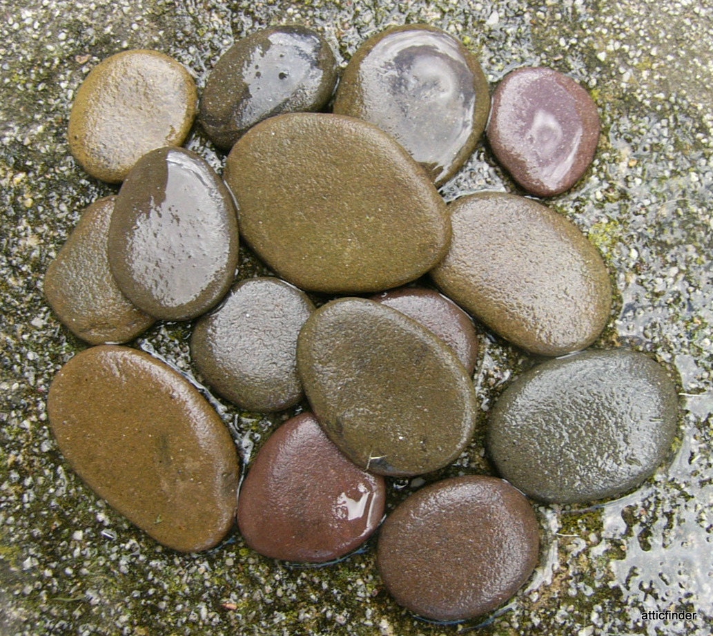 Flat River Rocks All Natural Creek Rocks for Crafts Still