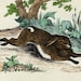 1849 Antique HARE print, handcolored, a brown hare running across the field.