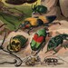 1900s Antique BEETLES print, Exotic Beetles in the field, entomology art print