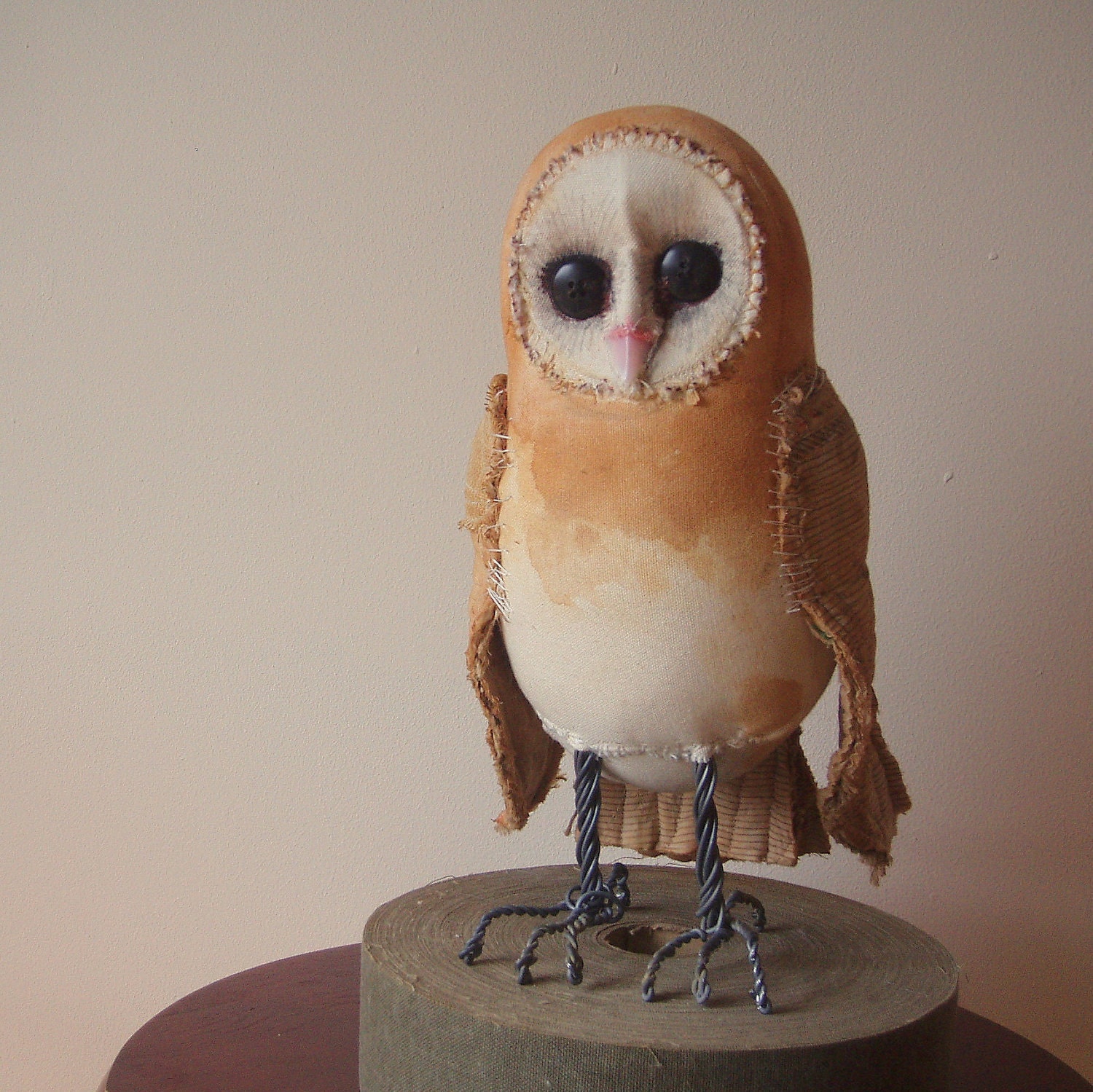 barn owl taxidermy for sale