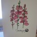 SNAPDRAGONS Watercolor Card