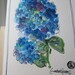 Blue Hydrangea Blooms Card