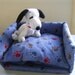 Stuffed Animal Bed, Dog Paw Prints on Blue