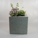 Square Concrete Planter