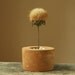 Rusty - Round Concrete Mini Pot