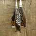 SALE Butterfly Feather and Silver Cone Earrings