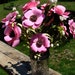 Paper Anemone Flowers in Jelly Jar Vase pink roses and Anemones with brown centers
