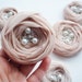 Pale Pink Roses Handmade Appliques Embellishments(5 pcs)