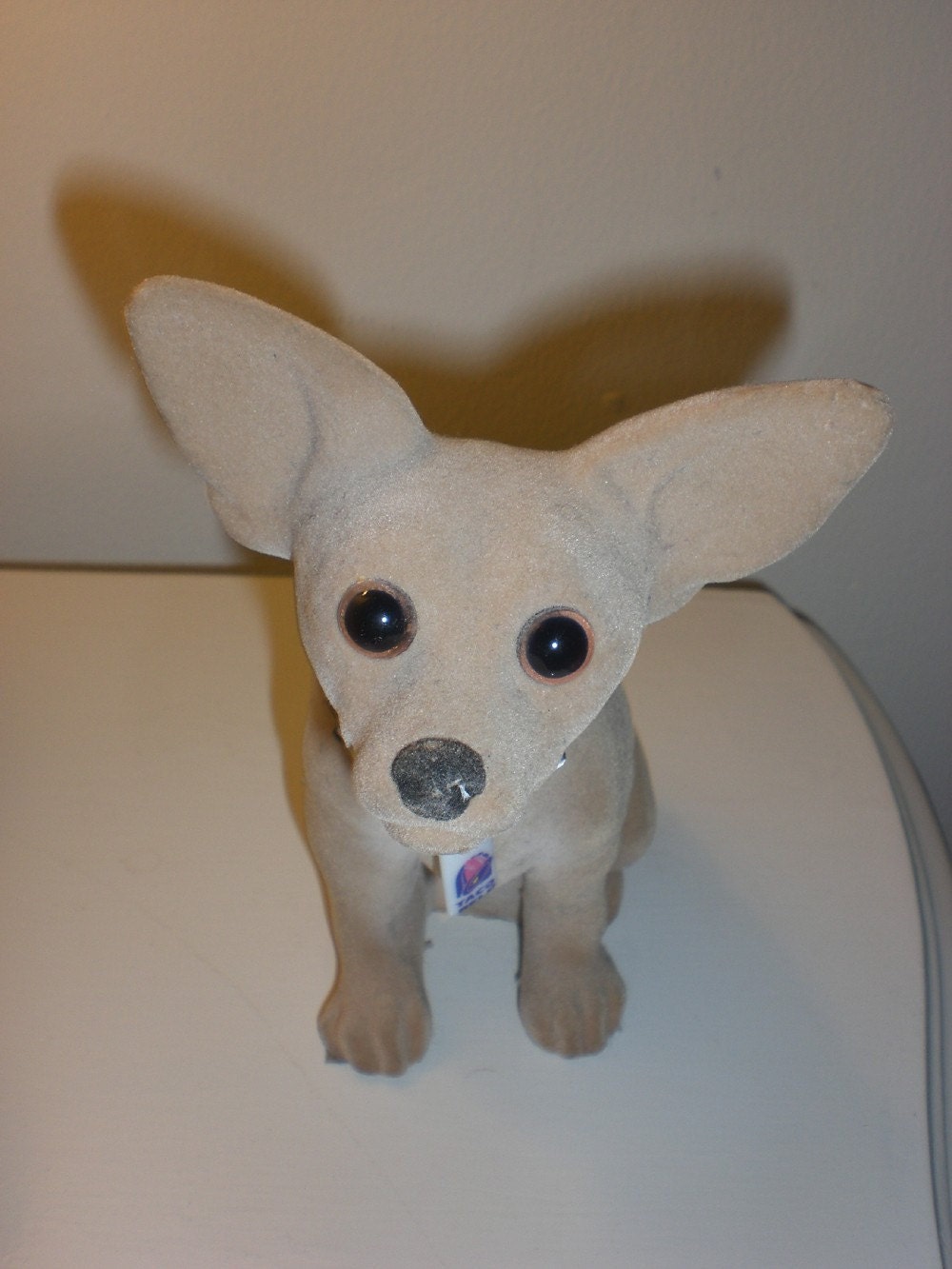 Bobble head chihuahua