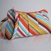 Pleated Wristlet Zipper Pouch -- Multi Stripes