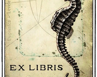 Royal Seahorse Bookplates (Personalized or Blank)