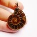 Genuine Ammonite fossil pendant cabochon 1 pcs natural