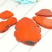 5beads 38-56mm Freedom Orange Turquoise nugget stone beads loose beads