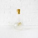 Portuguese Man-O-War Jellyfish in Science Beaker - "Mad Scientifical Chemistry" Collection