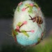 Needle felted easter goose egg blue, make to order
