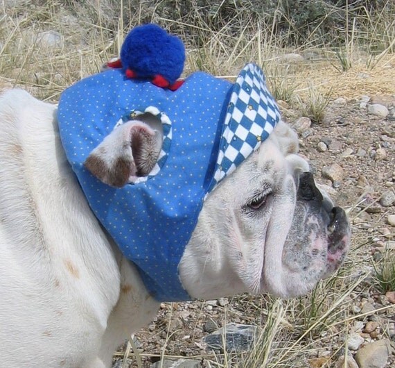 English Bulldog Hat Funny Dog HatCustom Bulldog Pattern