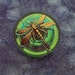 Czech Glass Button Small Green with Gold Dragonfly