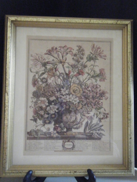 6 Robert Furber Gardiner of Kensington Framed Prints