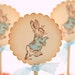 Peter Rabbit Cupcake Toppers / Food Picks Baby Shower Birthday Set of 10