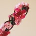floral hair wreath // woodland collection - tilka