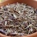 SELF HEAL (Heal All) Wildcrafted - Skin Care, Herbalism, Heart Of The Earth