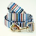 6 Foot Dog Leash - Little Boy Blue Stripes- Free U. S. Shipping