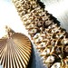 TRIFARI signed golden diamond rhinestone wide link bracelet vintage designer jewelry collectible marked stamped artedellamoda "as is"
