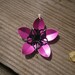 Everlasting Flower pendent in Hot pink
