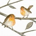 ROBINS - Original Watercolor Painting - Art Bird - by Lorisworld (8 x 6 inches)