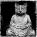 Mini Art Print - Cat Buddha - 5x5 Photograph