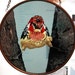 Painted Stained Glass Bird Having a Bad Day