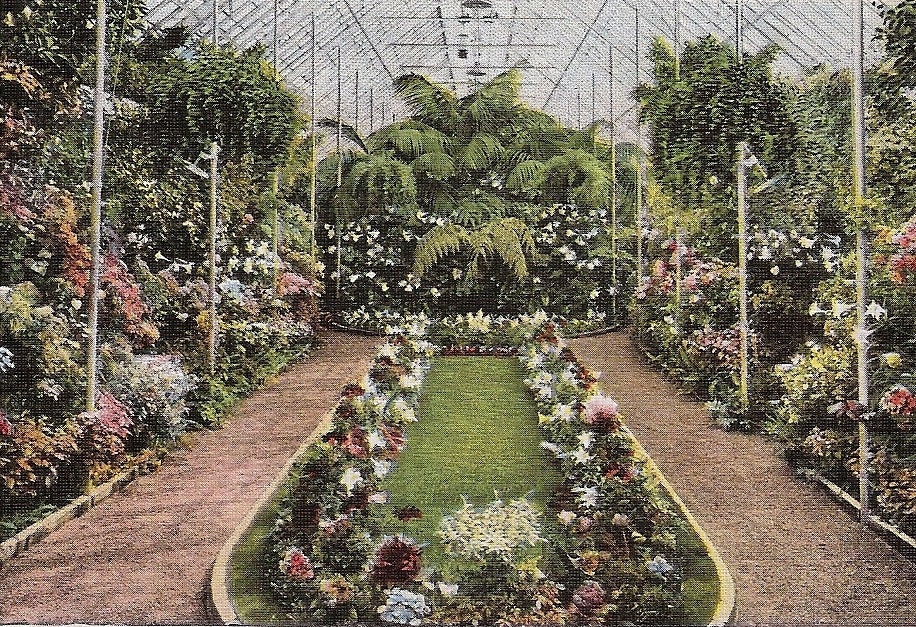 Jewel Box Forest Park Greenhouse St. Louis Missouri MO Vintage