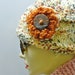 Pop Corn Cream Hat with Button Flower