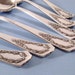 Vintage Silverplate Soup Spoons Marjo Nell 1903 Set of Six