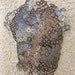 Abstract Metal Wall art sculpture Male Torso Nude by Holly Lentz