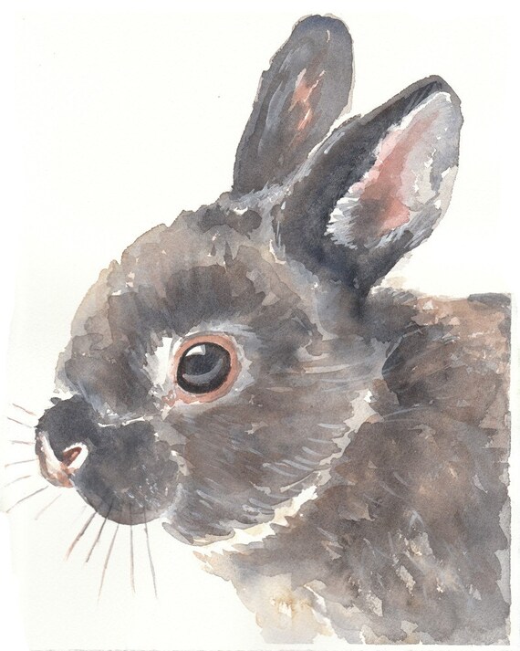 SALE ORIGINAL Bunny Rabbit Watercolor Painting 8x10