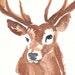 Stag Head Watercolor Original Painting Deer by WaterInMyPaint