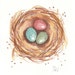 Birds Nest Watercolor - Original Painting, Colored Eggs, Nature Art, 5x7