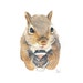 Squirrel Watercolor Painting - Original Art, Coffee, Take Out Cup, Animal Illustration
