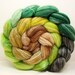 SWAMP Set 2 Gradient Merino/Bamboo/Nylon Top Spinning Fiber 4 oz