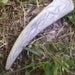 Celtic knotwork deer antler pendant