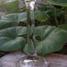 SALE-Was 4.00-Vintage Clear Glass Candle Stick Holder
