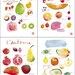 SEASONAL FRUITS 8 X 11 - Set of four prints