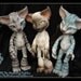 Grin the Cheshire Cat - ball joint doll BJD - Custom Color